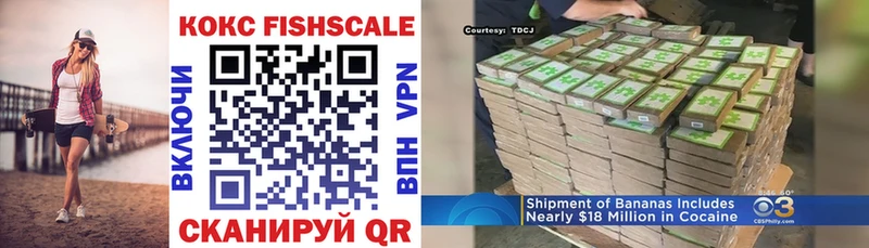КОКАИН Fish Scale  Купить закладки  Дно 