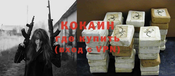 шишки Сосновка