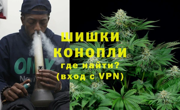шишки Сосновка