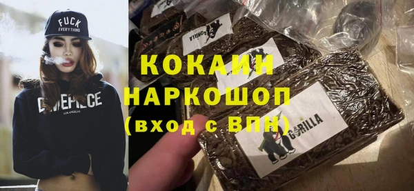 шишки Сосновка