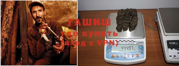 шишки Сосновка