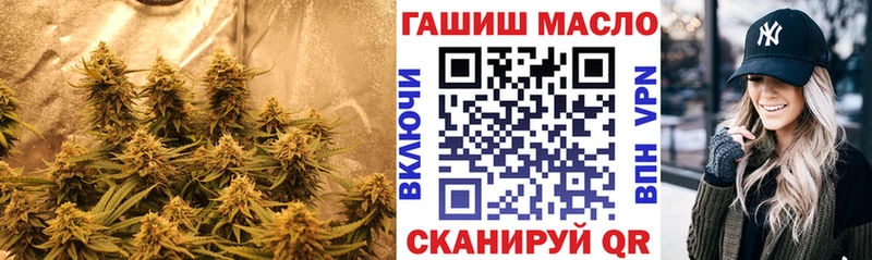 ТГК жижа  Купить где  Дно 