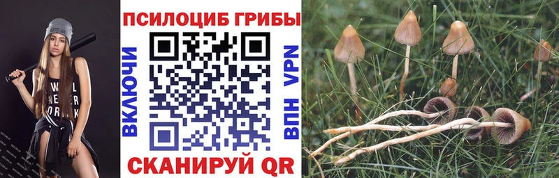 Галлюциногенные грибы мухоморы  Купить где  Дно 